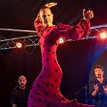flamenco (89)